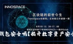 波宝Pro钱包安全吗？揭开数字资产安全的真相!