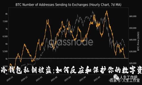 当冷钱包私钥被盗：如何反应和保护你的数字资产