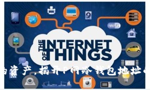 : 保护你的资产，揭开P网冷钱包地址的神秘面纱