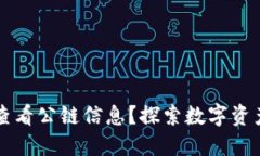 如何在TP钱包中查看公链信