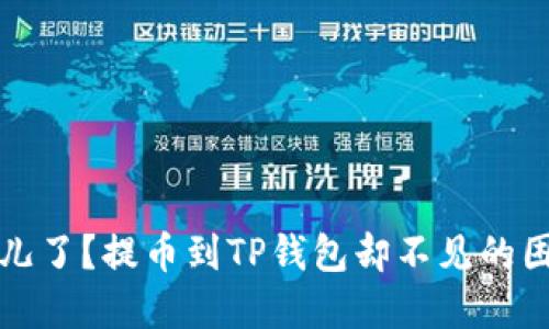 你的资产去哪儿了？提币到TP钱包却不见的困惑与解决方案