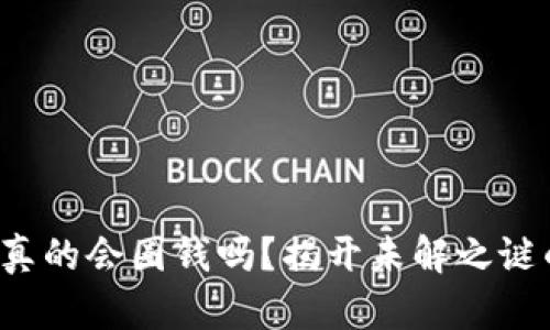 冷钱包真的会圈钱吗？揭开未解之谜的真相！