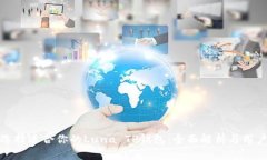 如何选择适合你的Luna TP钱包：全面解析与用户感