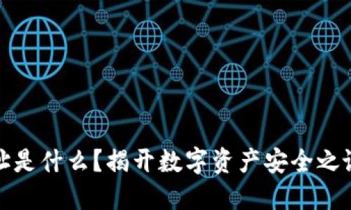 波场钱包地址是什么？揭开数字资产安全之谜的神秘面纱