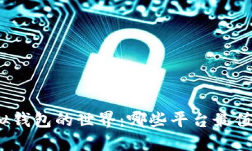 探索虚拟钱包的世界：哪些平台最值得相信？