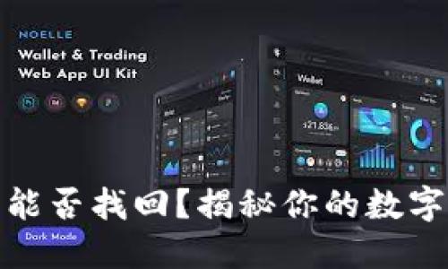 TP钱包被盗后能否找回？揭秘你的数字资产安全之道