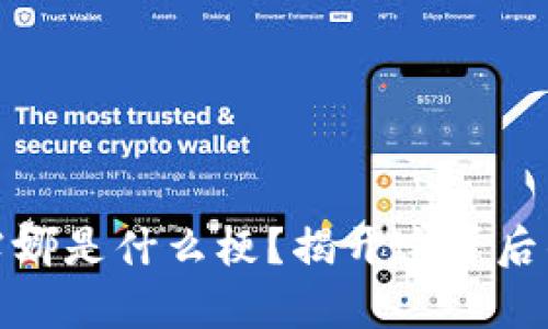 冷钱包里的露娜是什么梗？揭开这背后的真相与趣味