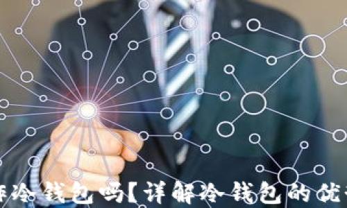 
比特派能制作冷钱包吗？详解冷钱包的优势与使用方法