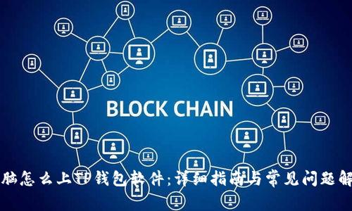 电脑怎么上TP钱包软件：详细指南与常见问题解答