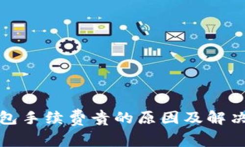 TP钱包手续费贵的原因及解决方案