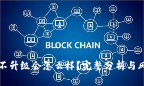 TP钱包不升级会怎么样？完整分析与风险警示