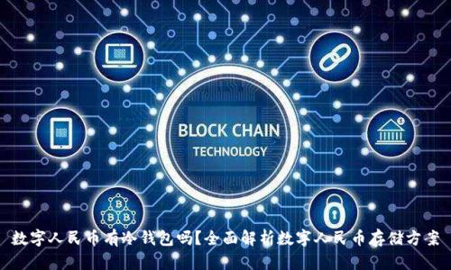 数字人民币有冷钱包吗？全面解析数字人民币存储方案