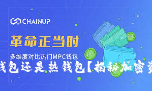 提币是用冷钱包还是热钱包？揭秘加密资产安全策略