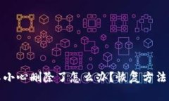 : TP钱包不小心删除了怎么办？恢复方法与注意事