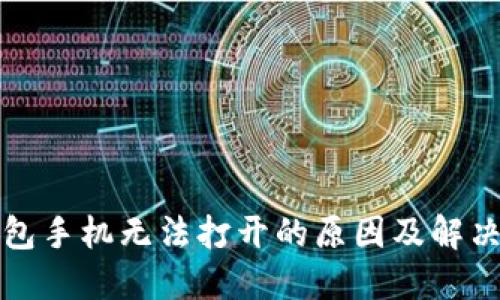 TP钱包手机无法打开的原因及解决方案