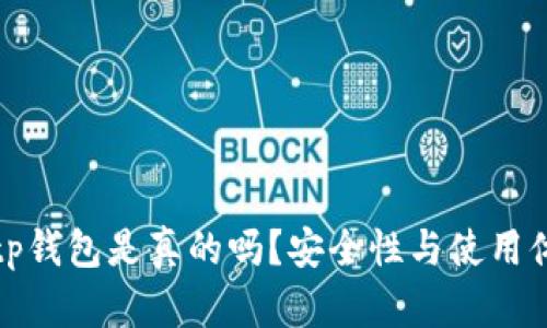 微信公众号tp钱包是真的吗？安全性与使用体验全面解析