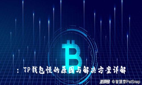 : TP钱包慢的原因与解决方案详解