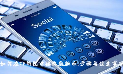 如何在TP钱包中接收貔貅币：步骤与注意事项
