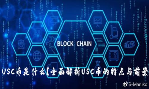USC币是什么？全面解析USC币的特点与前景