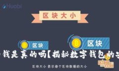 TP钱包上的钱是真的吗？揭秘数字钱包的安全与风