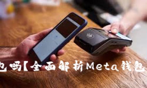 Meta钱包是冷钱包吗？全面解析Meta钱包的性质与使用场景