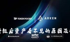 TP钱包升级后资产看不见的原因及解决方案