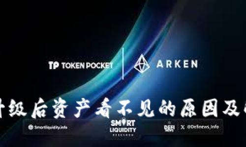 TP钱包升级后资产看不见的原因及解决方案