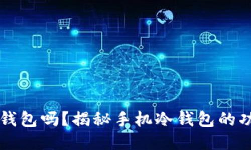 手机能做冷钱包吗？揭秘手机冷钱包的功能与安全性